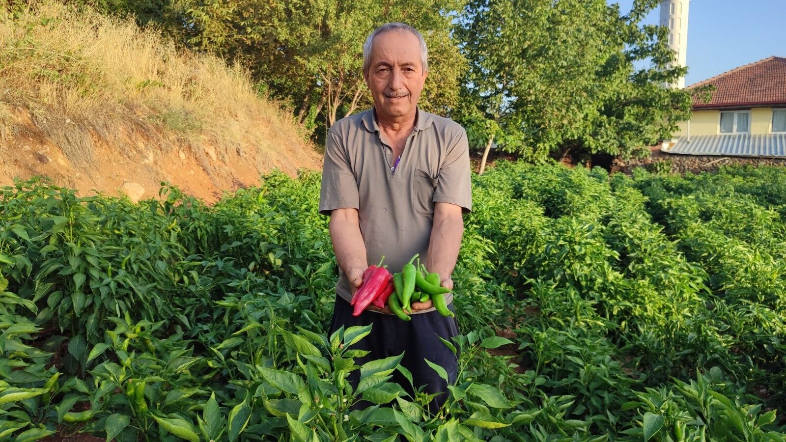 Başkan Pütün Yerel Ürünlerimiz Beyağaç’ın Zenginliği (1)