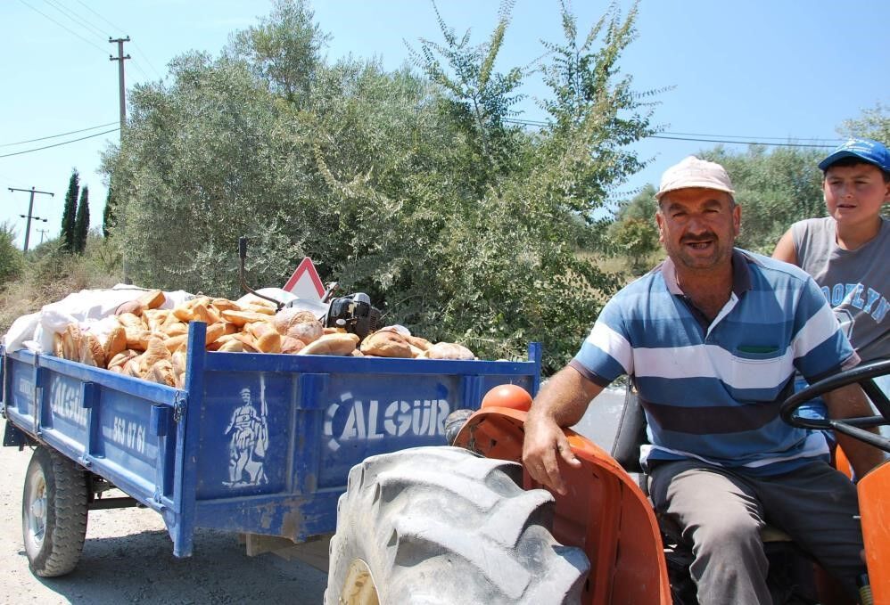 Bu görüntü Aydın’da.. Bir römork ekmek ile görüntülendi