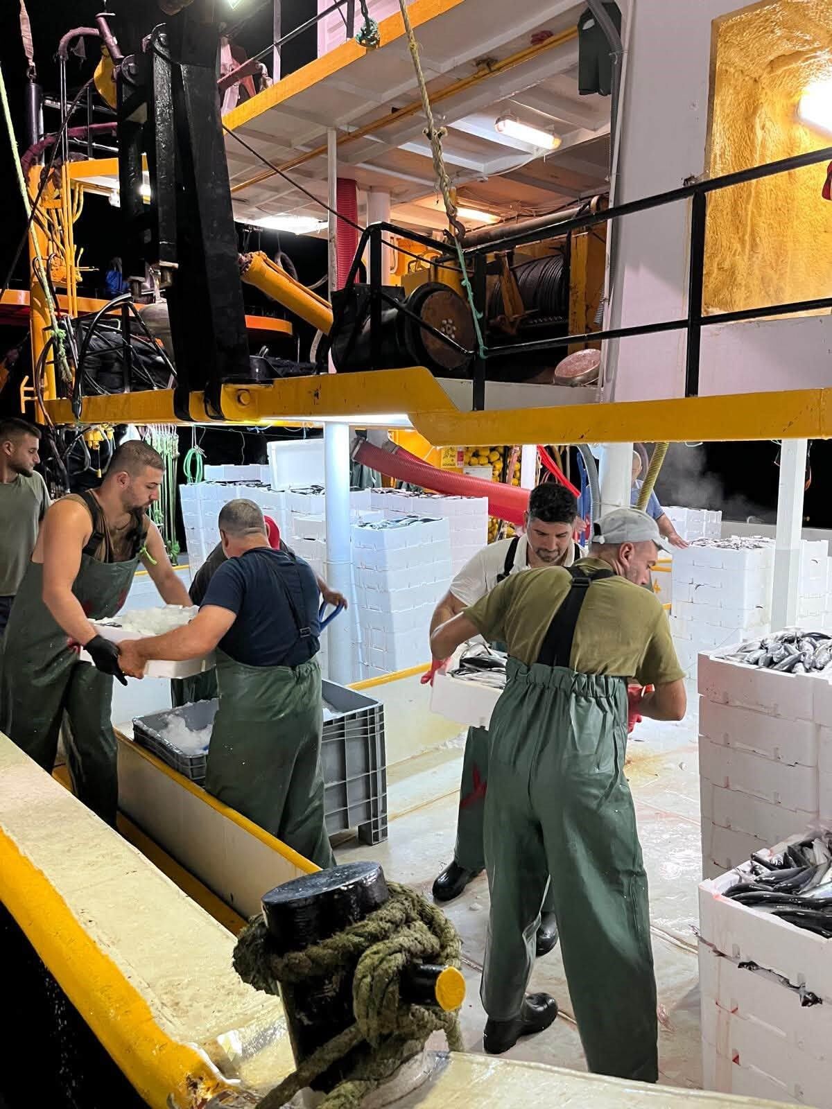 Didim’de Gırgır Teknelerinde Balık Boyu Denetimi (5)