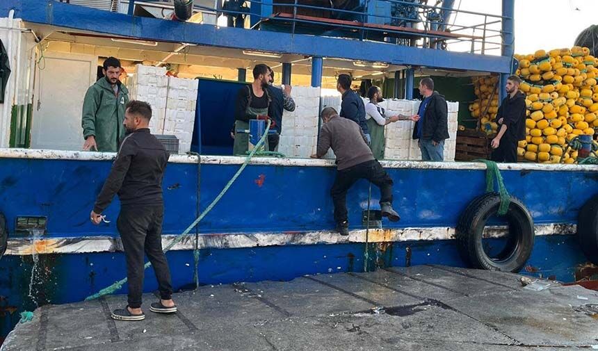 Didim’de hamsi denetimi