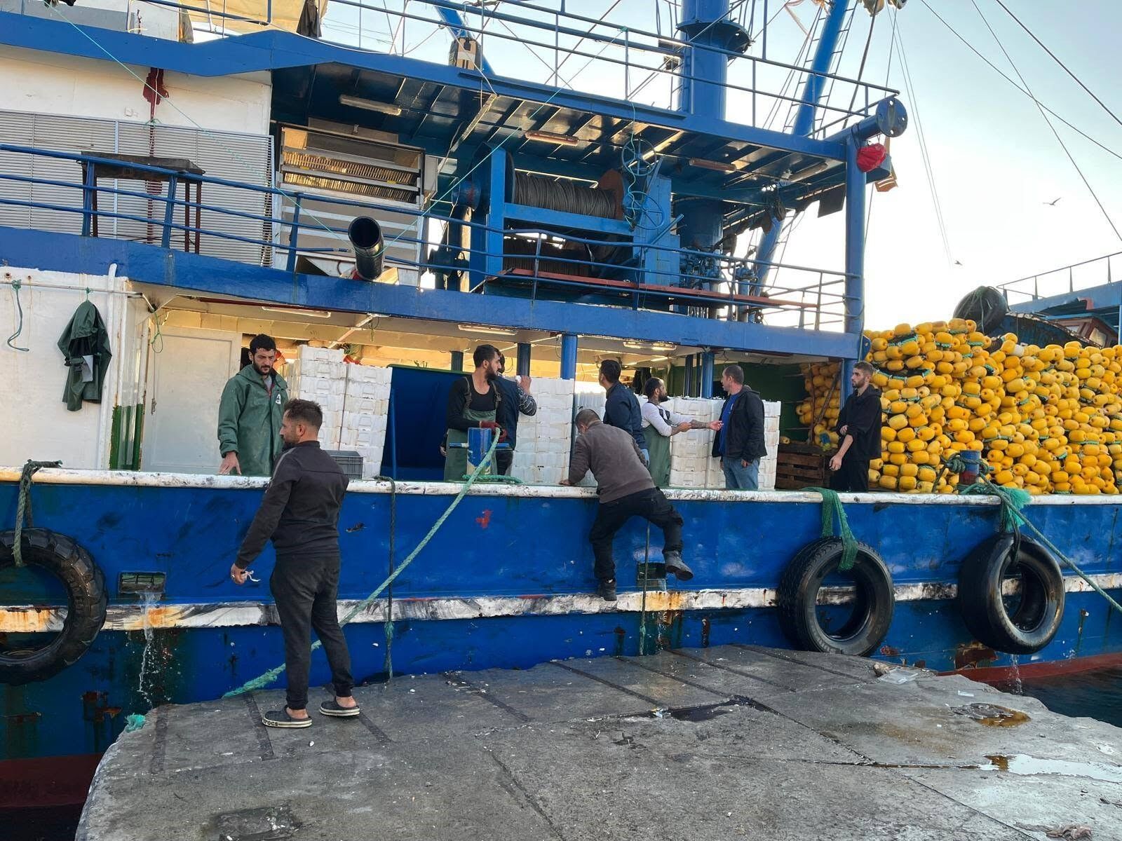 Didim’de Hamsi Denetimi (4)