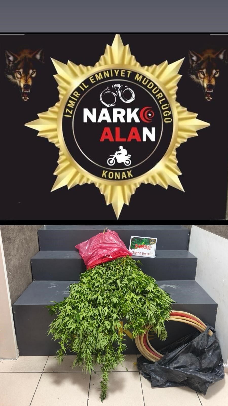 Evin Bahçesinde Basıldılar (1)