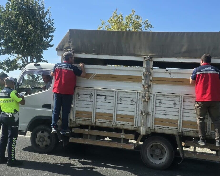 Hayvan Hastalıklarına Karşı Yol Kontrolleri Sürüyor (5)
