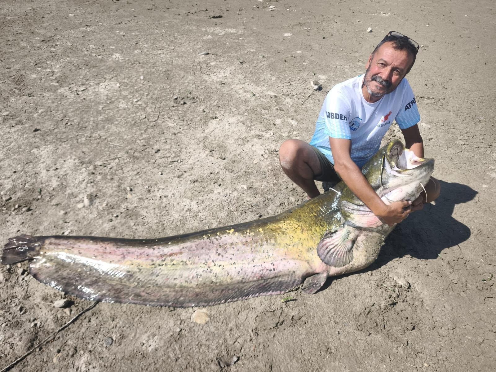 İki Balık Yakalandı.. Biri 120 Diğeri 85 Kilo (2)