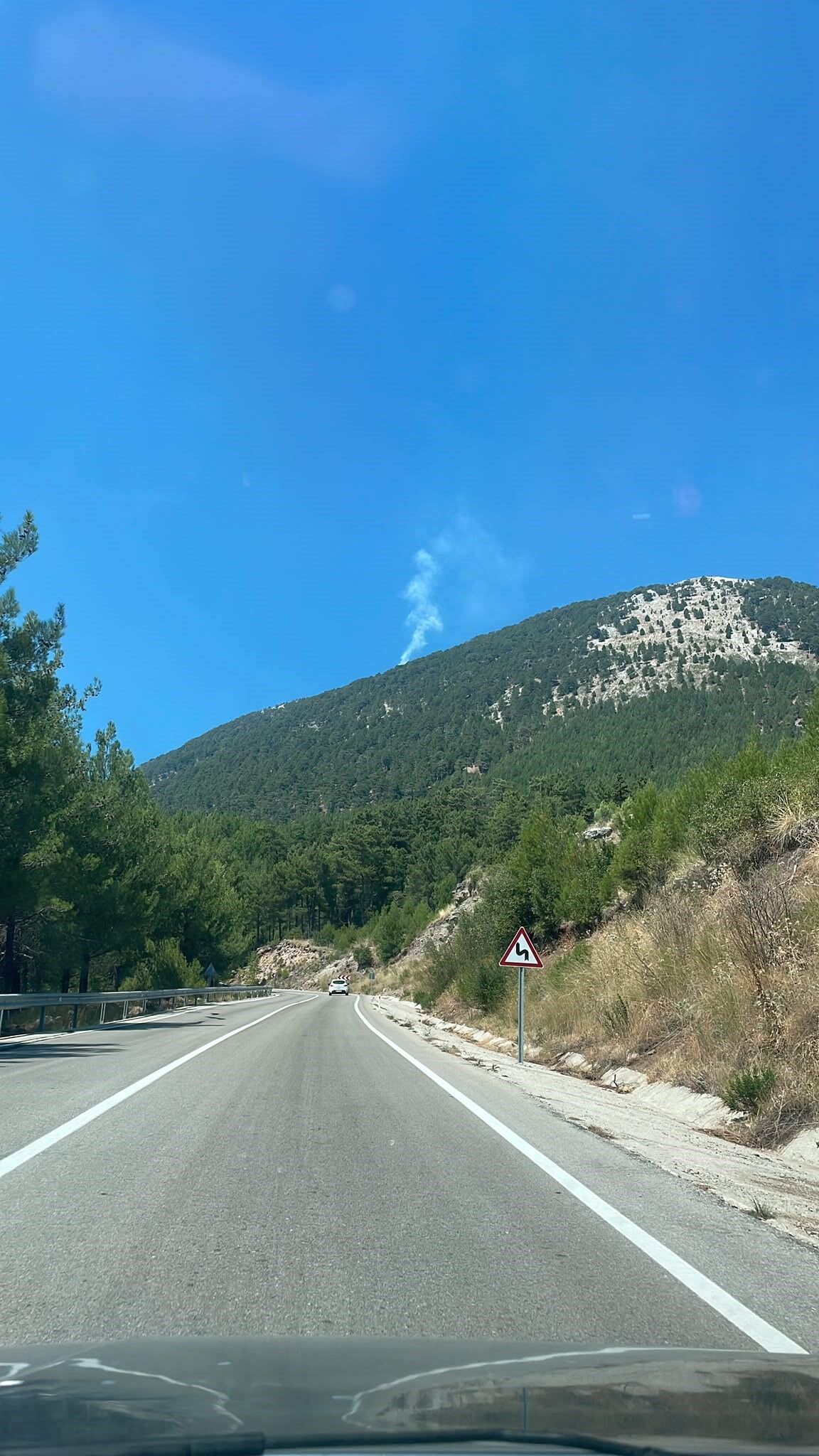 Orman Yangını Çıktı, Ekipler Harekete Geçti (2)