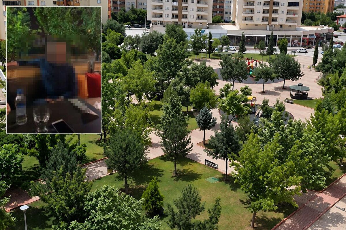 Rezaletin böylesi.. Üniversite hocası parkta utanç verici halde basıldı
