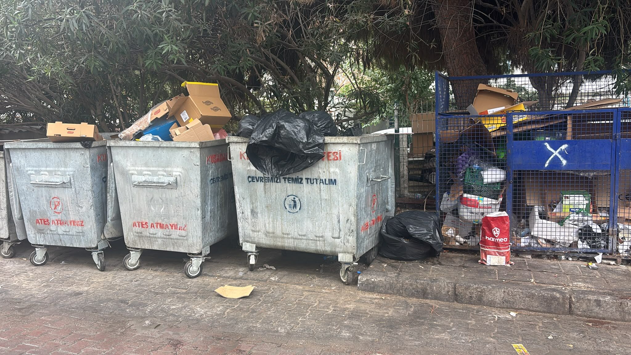 Turizm Kenti Çöp Içinde Kuşadası Sokaklarını Kötü Koku Sardı (2)