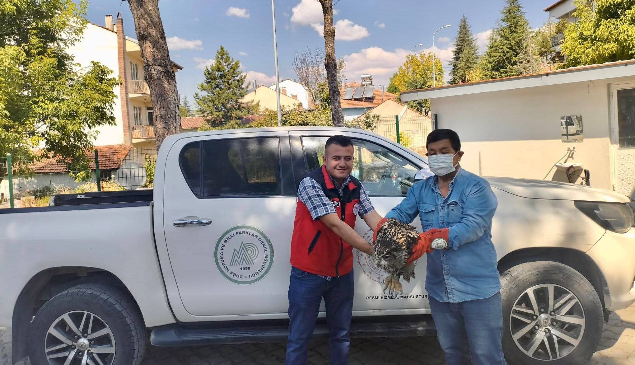Yaralı Puhu Kuşu Koruma Altına Alındı (3)