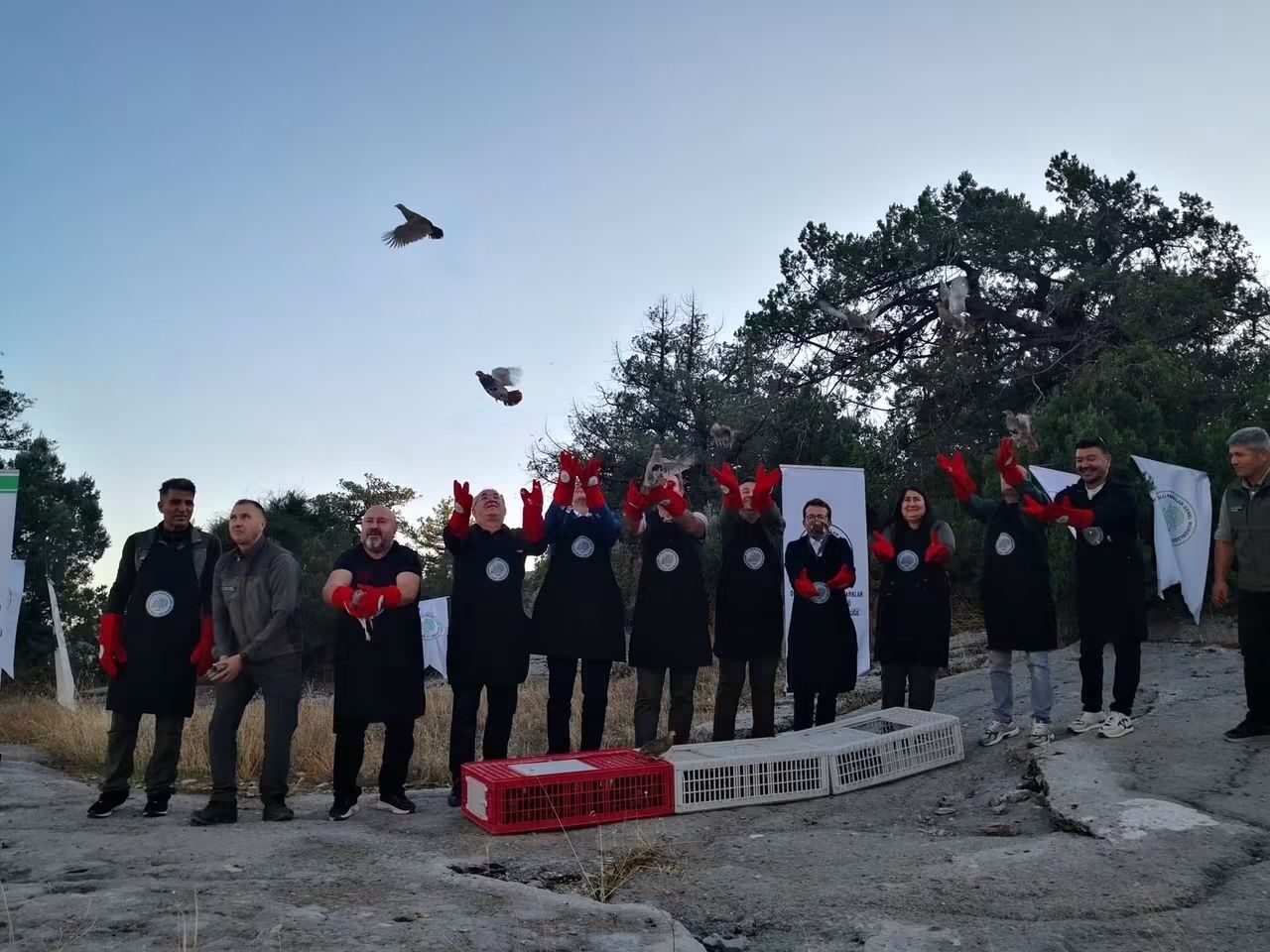 200 Keklik Doğaya Salındı (4)