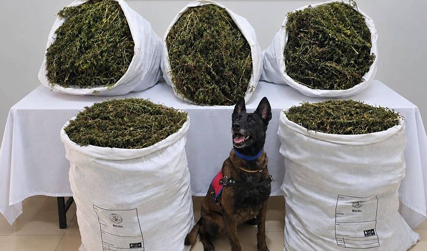 54 Kilo 800 Gram Esrar Ele Geçirildi, 3 Kişi Tutuklandı (1)