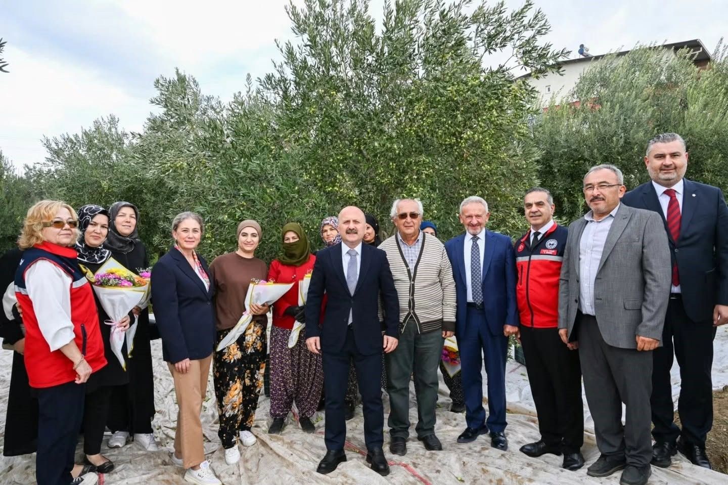 Aydın Valisi Osman Varol Kadın Çiftçilerle Zeytin Topladı (1)