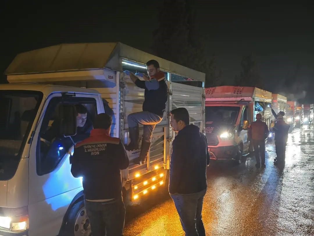 Aydın’da Hayvan Pazarlarında Kırmızı Alarm (2)