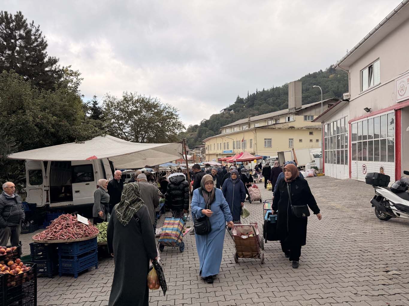 Bu Meyve Pazarın Gözdesi Oldu (3)