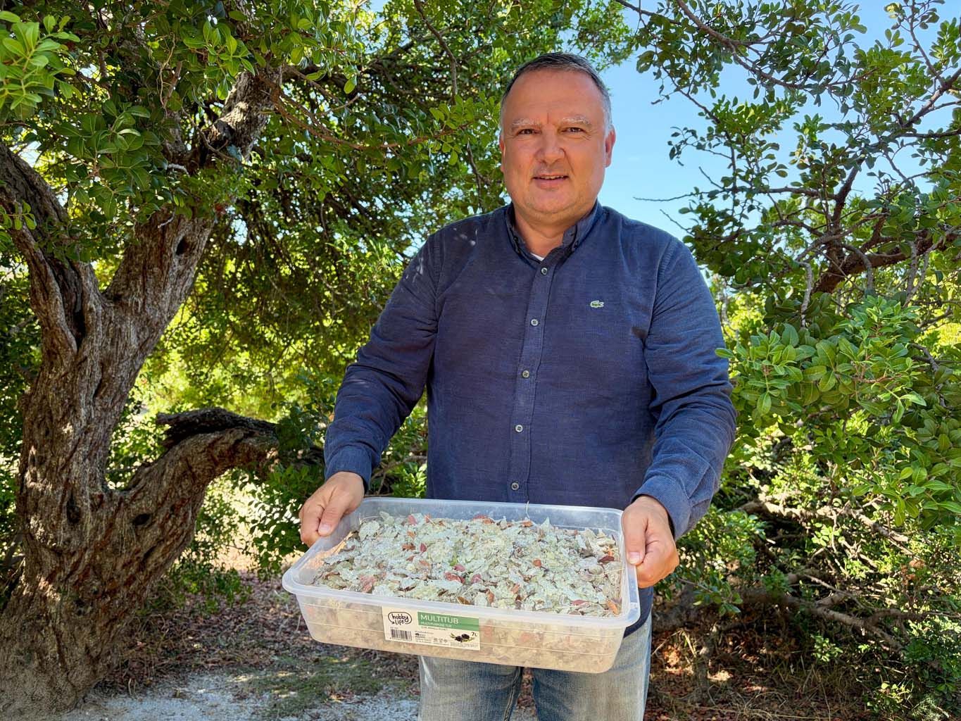 Hasat Başladı, Kilosunu 50 Bin Liradan Satılıyor (3)