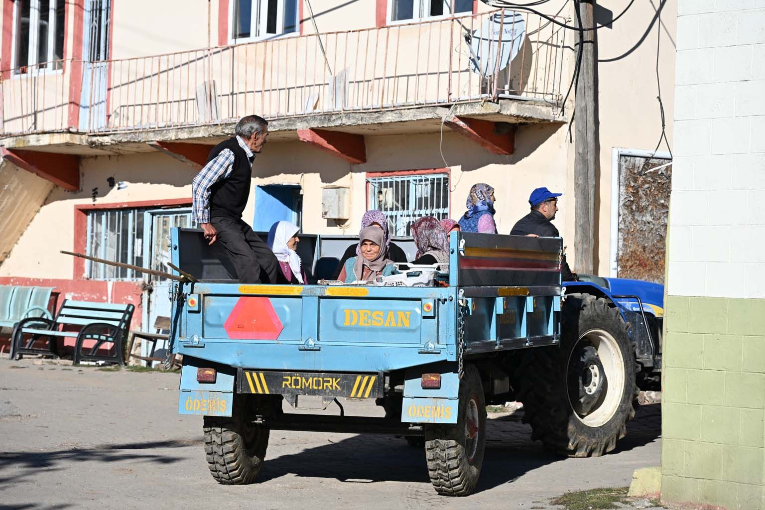 Kestanede Hasat Başladı, Fiyat Belli Oldu (6)