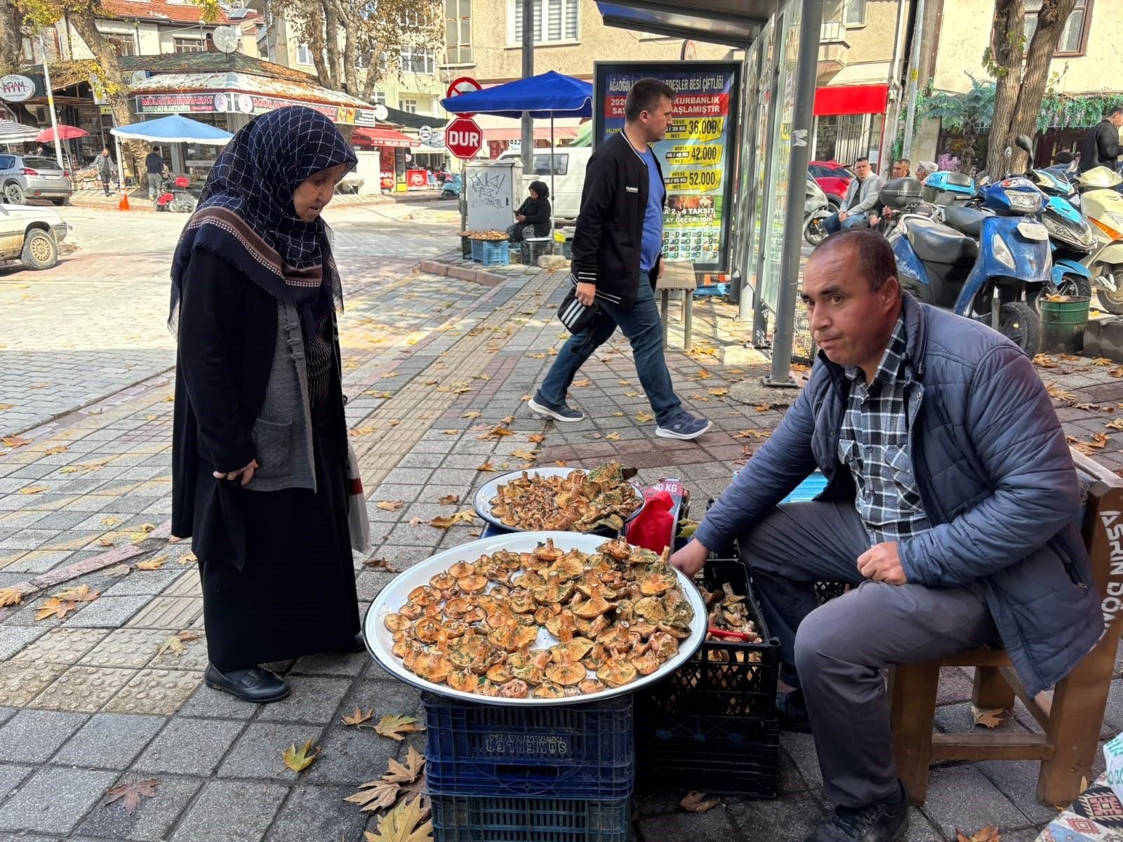 Mantar Tezgaha Çıktı, Fiyatı Belli Oldu (4)